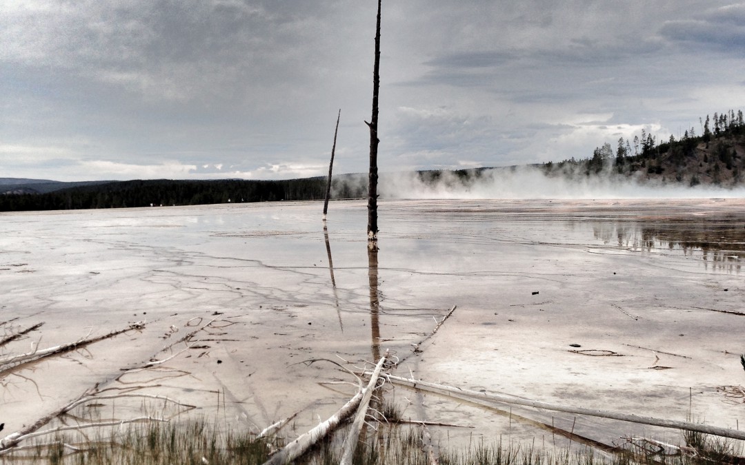 Grey skies over Yellowstone